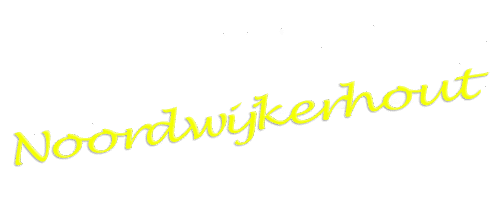 E-Chopper Noordwijkerhout